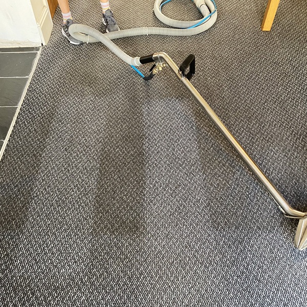 professional carpet cleaning equipment used in Tameside